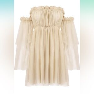 Off Shoulder Mesh Dress